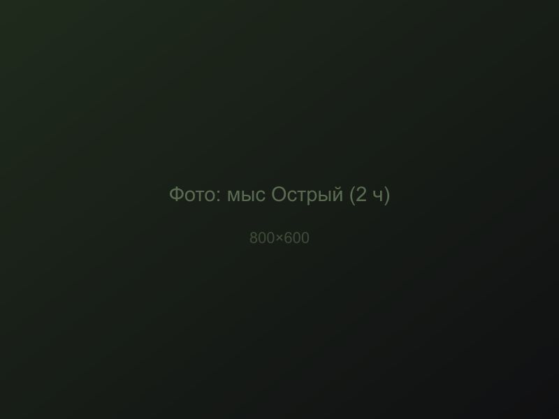 Квадро Тур на Мыс Острый